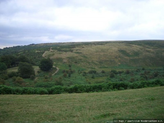 Devon 2006