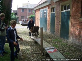 2004-06-19 smart & Emsland 5