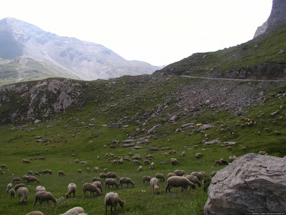 2006-07-15_21 - Router des Grandes Alpes