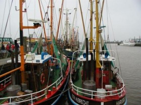 2002-04-20 smart & Nordsee WHV und Esens