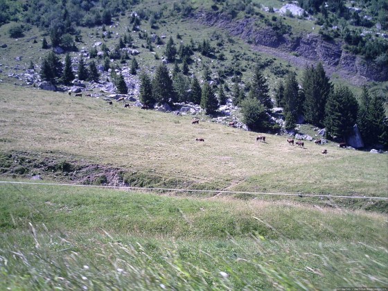 2006-07-15_21 - Router des Grandes Alpes