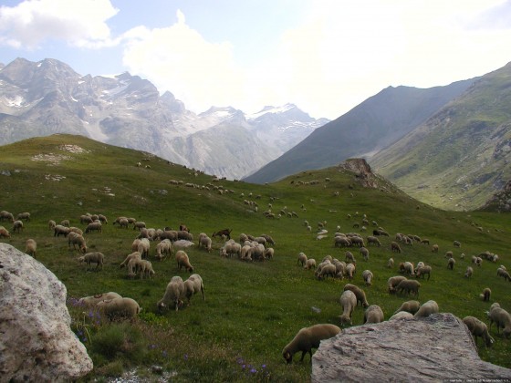 2006-07-15_21 - Router des Grandes Alpes