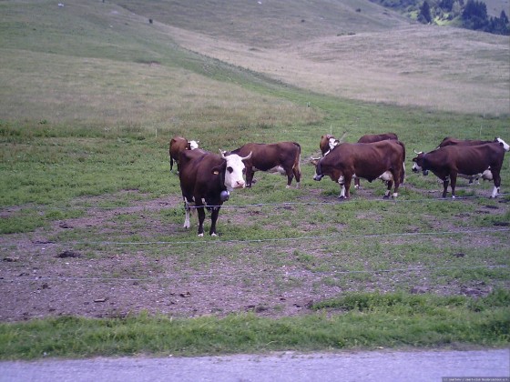 2006-07-15_21 - Router des Grandes Alpes