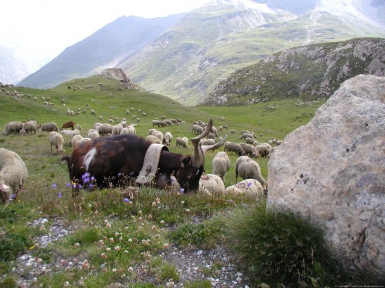 2006-07-15_21 - Router des Grandes Alpes