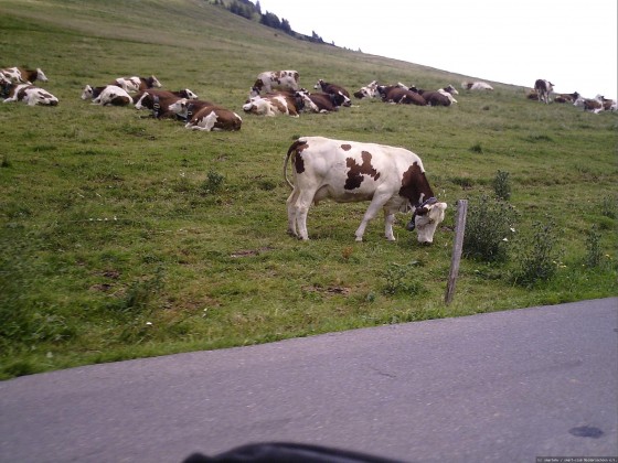 2006-07-15_21 - Router des Grandes Alpes