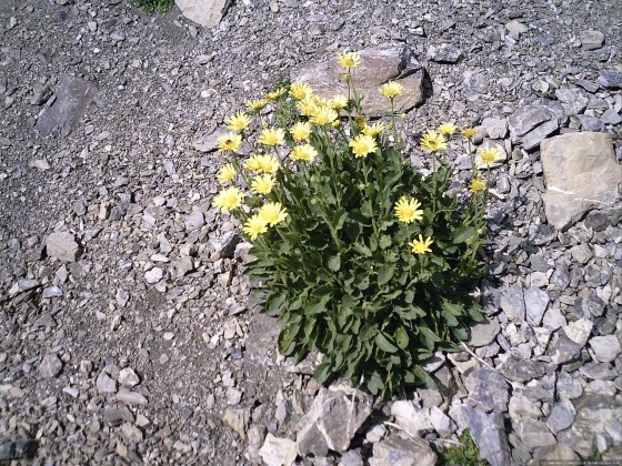 2006-07-15_21 - Router des Grandes Alpes