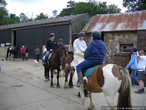 Devon 2006