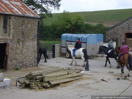 Devon 2006